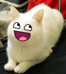 50