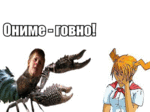 120