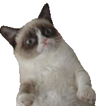 84