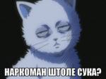 242