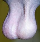 56