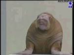 692