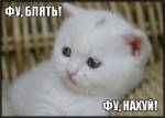 113