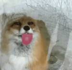 489