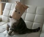 110