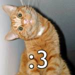 45
