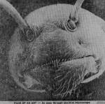 115