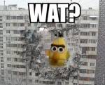 61