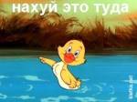 74