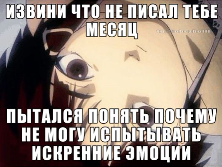 736x552
