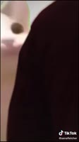 576x1024