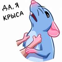 512x512