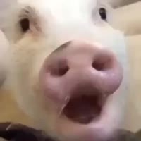 360x360