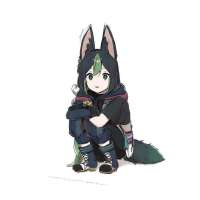736x736