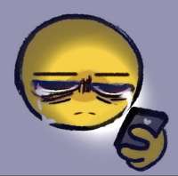 736x731