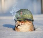 381