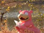 602