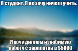 604x398