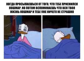 1039x756