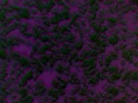 800x600