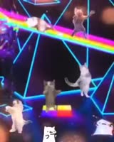 460x574