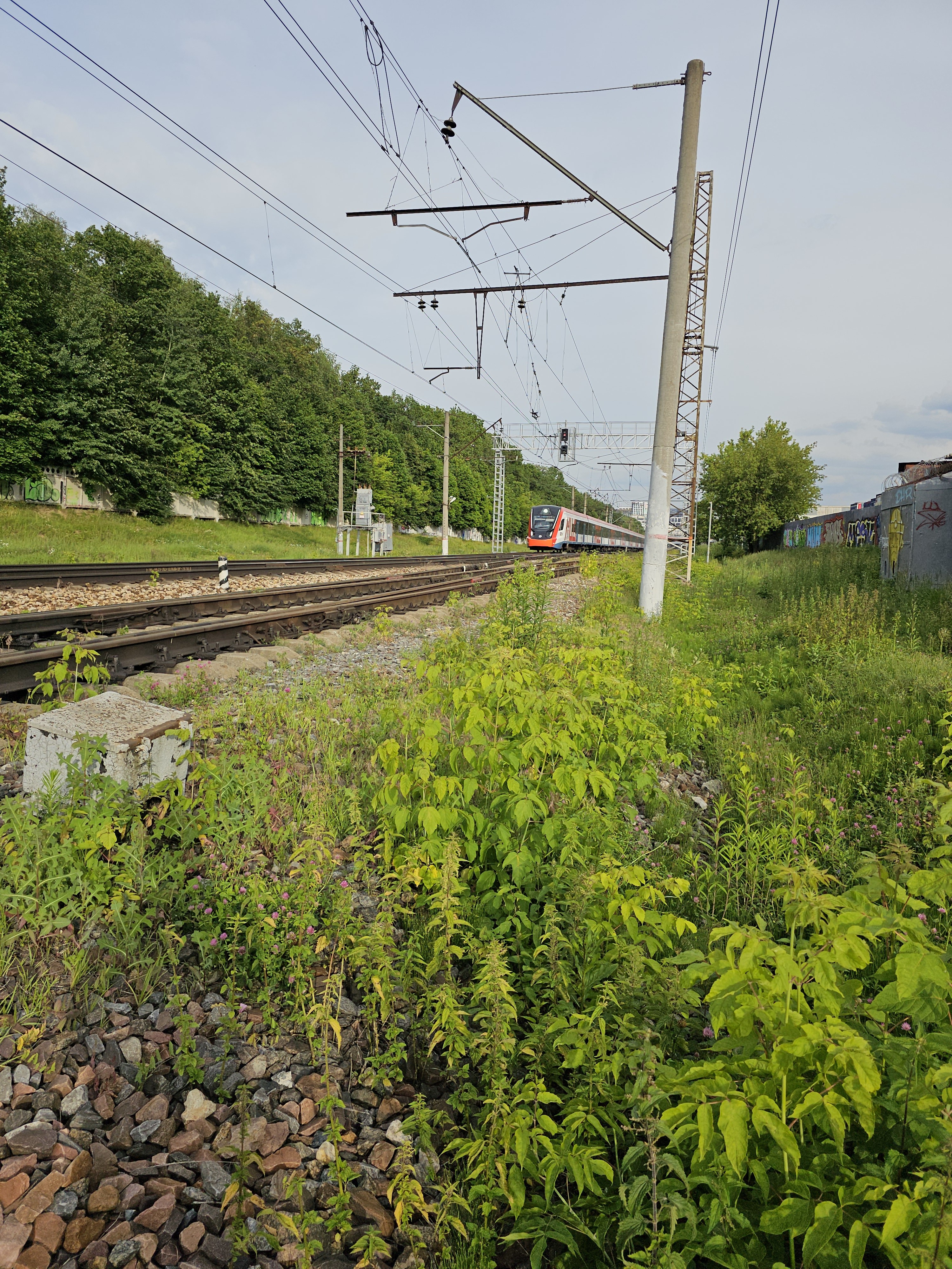 3000x4000