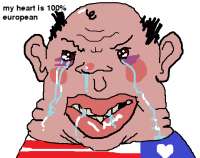 547x433