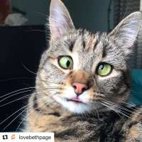 1080x1080