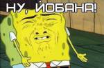 599x399