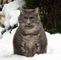 53