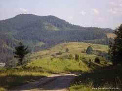 47