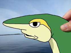 960x720