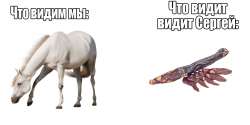 1200x600
