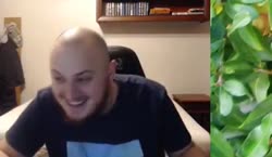 652x380