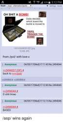 500x955