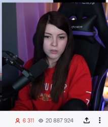 288x338