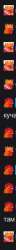 36x536