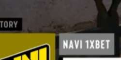 263x132