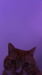 576x1024