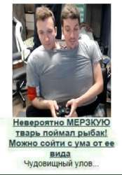 400x573