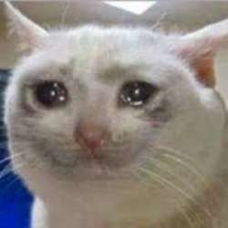 299x299
