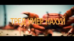 1280x720