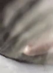 320x444