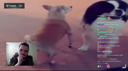 1280x720