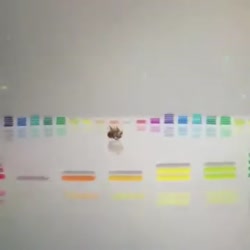 360x360