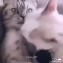 1080x1080