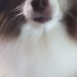 360x360
