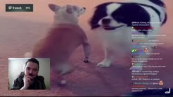 1280x720
