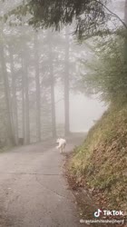 540x960