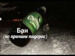 259x194